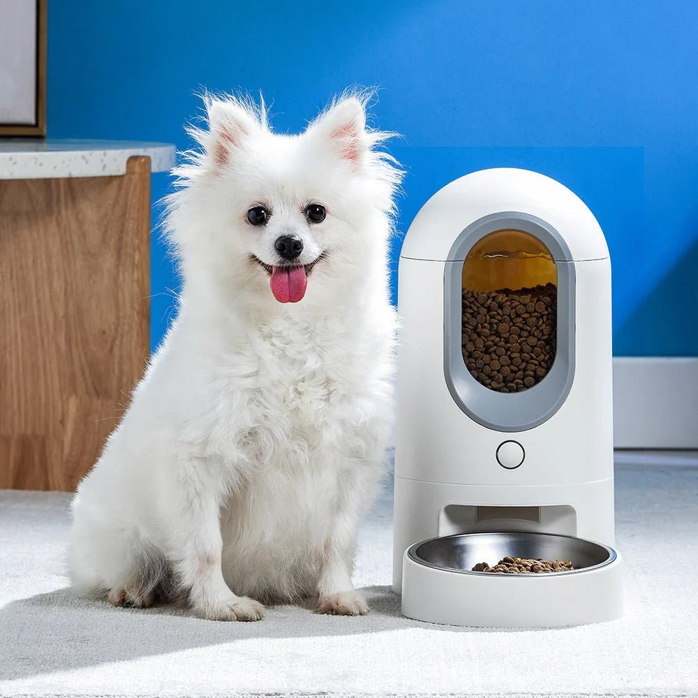 HEYBO Automatic Cat Feeder Timed Cat Food Dispenser Wifi with APP Control for Remote - GadgifyLab