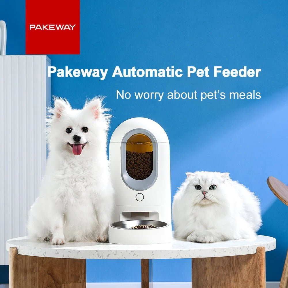 HEYBO Automatic Cat Feeder Timed Cat Food Dispenser Wifi with APP Control for Remote - GadgifyLab